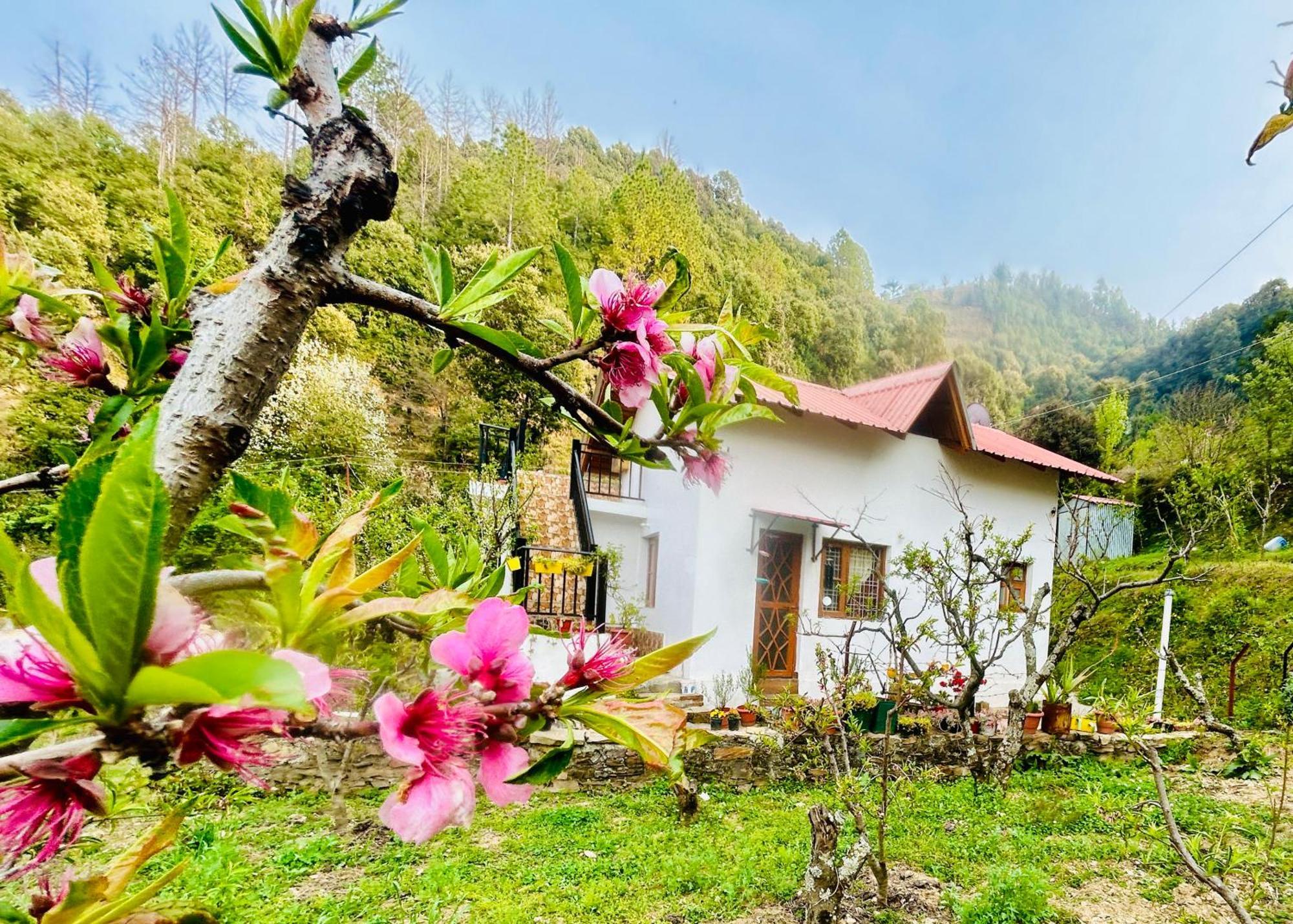 Love'S Farm, Cottage In Ramgarh ภายนอก รูปภาพ
